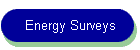Energy Surveys