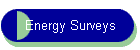 Energy Surveys